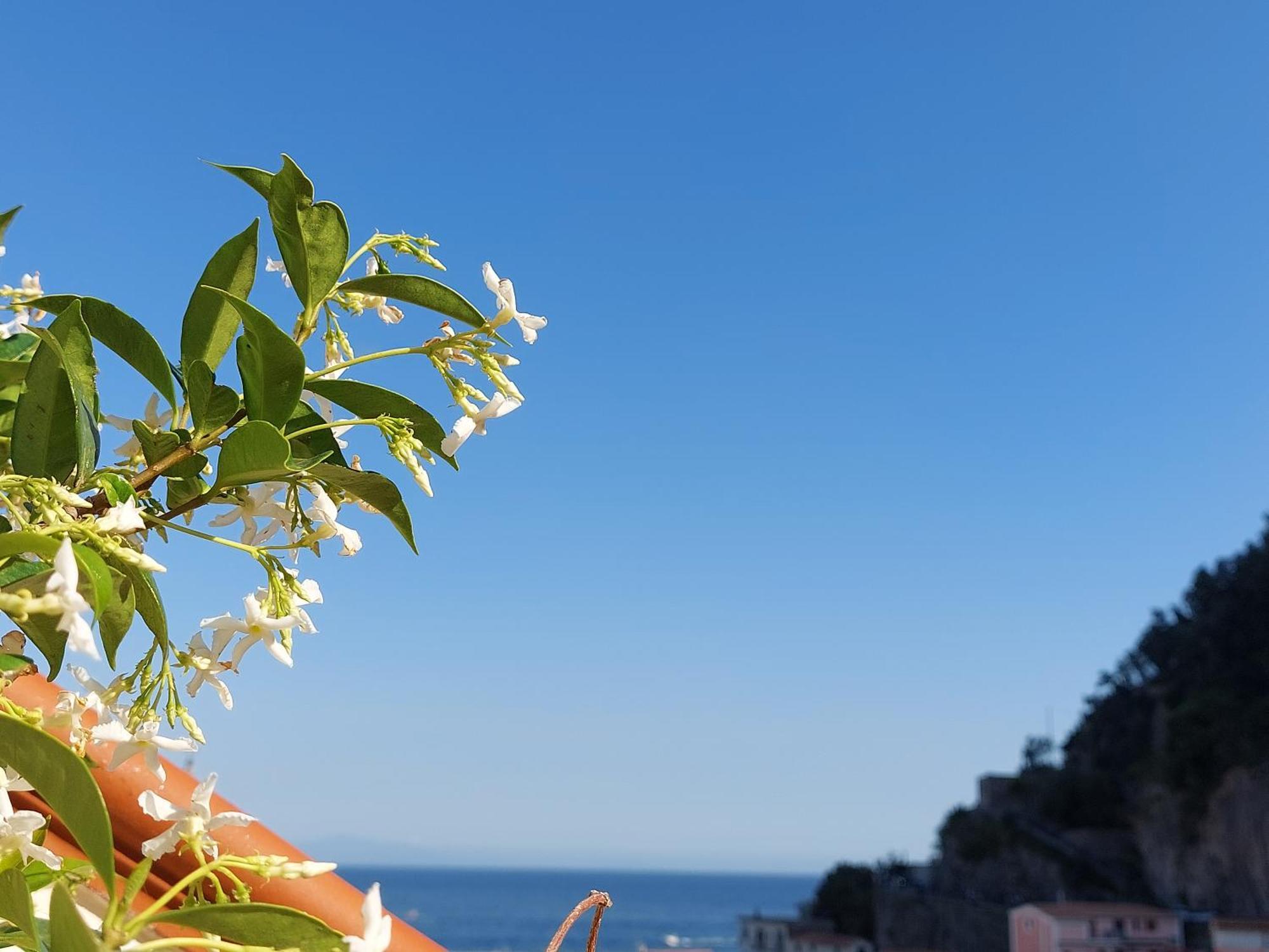B&B Domus San Pietro Четара Екстериор снимка